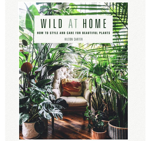 Wild At Home Hilton Carter