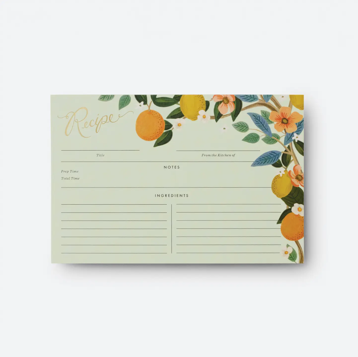 Rifle Paper Pack of 12 Citrus Recipe Cards